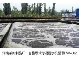 河南某肉制品廠